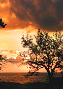 Baltic Sunset in the South of Sweden Photograph by Mary Lee Dereske