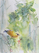Cedar Waxwing Painting by Amanda Amend