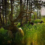 Beautiful Herd Photograph by Carla E