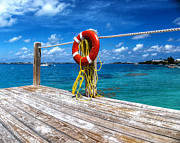 Bermuda Lifebelt Bite Photograph by Richard Reeve