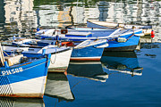 Boats at anchor Photograph by Sue Leonard