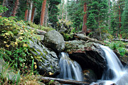 Calypso Cascades Photograph by Cascade Colors