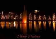 Christmas Reflection - Christmas Card Digital Art by Flees Photos