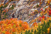 Color In The Notch Photograph by Jeff Sinon