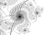 Delicato Digital Art by Vic Eberly