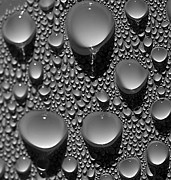 Dew Point Photograph by Joe Schofield