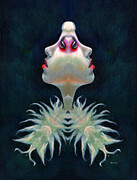 Double Faced Digital Art by Rafael Salazar