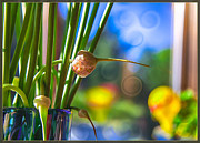 Early Morning Magic Painting by Omaste Witkowski