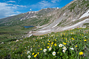 Early Summer in the Colorado Rockies Photograph by Cascade Colors
