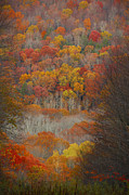Fall Tunnel Photograph by Raymond Salani III