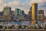 Federal Hill View To The Baltimore Skyline Photograph by Susan Candelario
