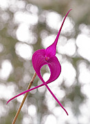 First Prize Photograph by Rona Black