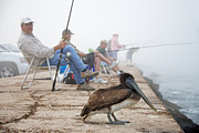 Port Aransas Texas Photograph by Mary Lee Dereske