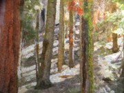 Forest for the Trees Painting by Jeffrey Kolker