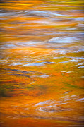 Golden Reflection Photograph by Jeff Sinon