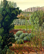 High Mountain Olive Trees Painting by Angeles M Pomata