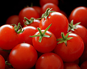 Homegrown Tomatoes Photograph by Rona Black