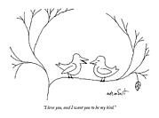 I Love You, And I Want You To Be My Bird Drawing by John Norment