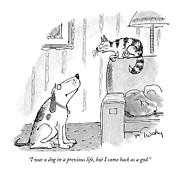 I Was A Dog In A Previous Life Drawing by Mike Twohy