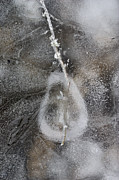 Ice Patterns Photograph by Steven Ralser