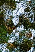 Isinglass Photograph by Jeff Sinon