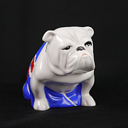 James Bond - British Bulldog - Jack 1 Photograph by Richard Reeve
