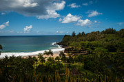 Kauai South Shore Jungle Photograph by Blake Webster