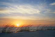 Lake Michigan Sunset with Dune Grass Photograph by Mary Lee Dereske