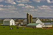 Lancaster Pennsylvania Farms Photograph by Susan Candelario