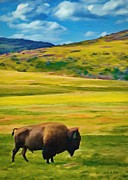 Lone Buffalo Painting by Jeffrey Kolker