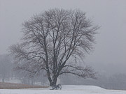 Winter in Valley Forge Photograph by Louis Dallara