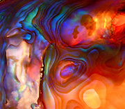 Magic Shell 2 Photograph by Rona Black