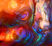 Magic Shell Photograph by Rona Black