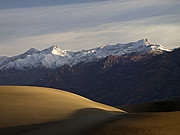Mesquite Dunes And Grapevine Range Photograph by Joe Schofield