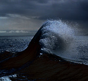 Midnight Swim Photograph by Joe Schofield