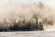 Misty Morning Photograph by Linda Ryma