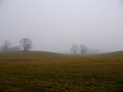 Morning Mist Photograph by Richard Reeve