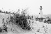 New Buffalo Michigan Lighthouse and Beach Grass Photograph by Paul Velgos