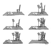 New Yorker May 17th, 1976 Drawing by George Booth