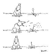 New Yorker May 22nd, 1978 Drawing by George Booth