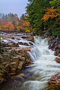 No Swimming Rocky Gorge Albany NH Photograph by Jeff Sinon