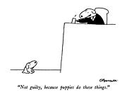 Not Guilty, Because Puppies Do These Things Drawing by Charles Barsotti