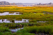 Odiorne Salt Marsh Misty Morning Light Photograph by Jeff Sinon
