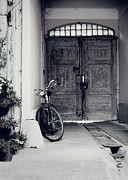 Old Bicycle Photograph by Jelena Jovanovic