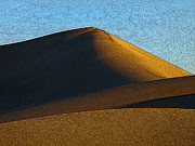 Only Mad Dogs and Englishmen Photograph by Joe Schofield