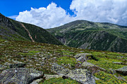 Overlooking Tuckerman Photograph by Jeff Sinon