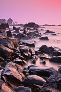Pink Odiorne Sunrise Photograph by Jeff Sinon