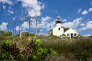 Point Loma Lighthouse Photograph by Kelley King