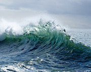 P O P Photograph by Joe Schofield