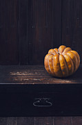 Pumpkin Photograph by Jelena Jovanovic